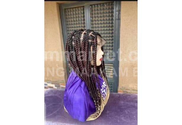Braided Lace Front Wig