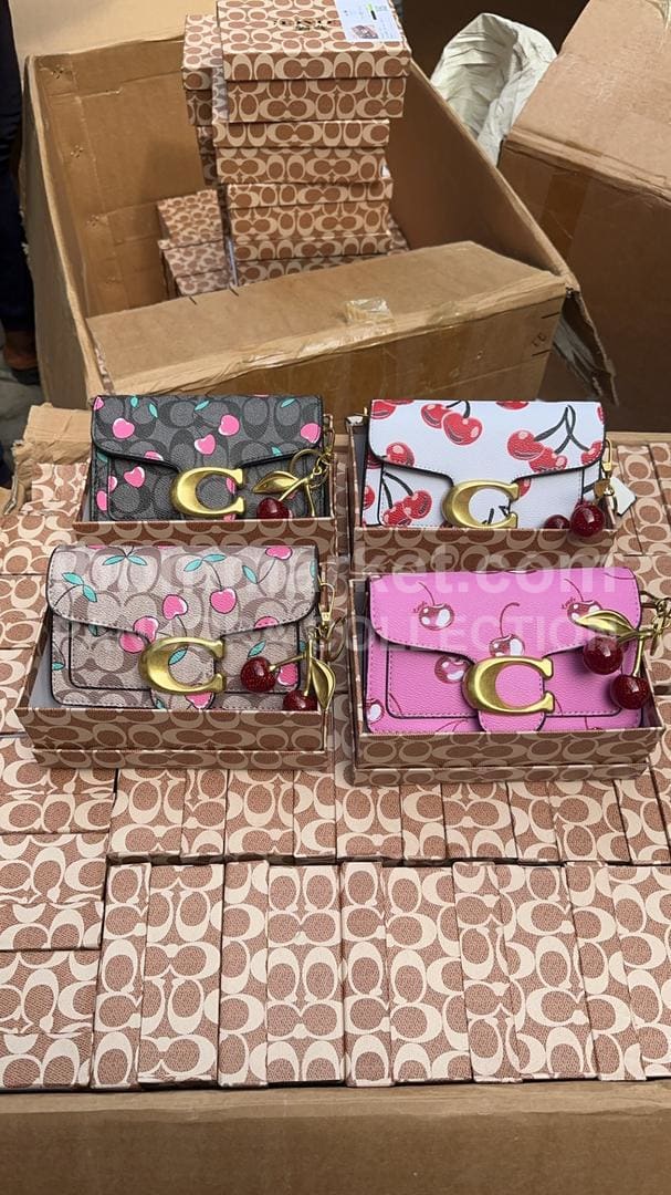 Stylish Coach Handbags